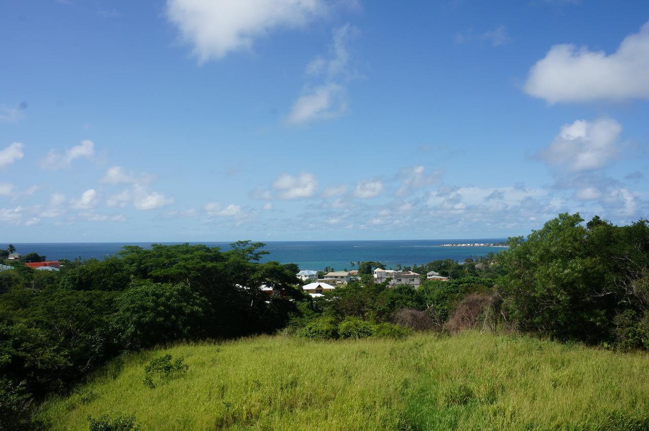 Faith'S Villa Tobago Diamond Exteriér fotografie